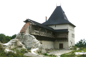 Старостинський замок, Галич